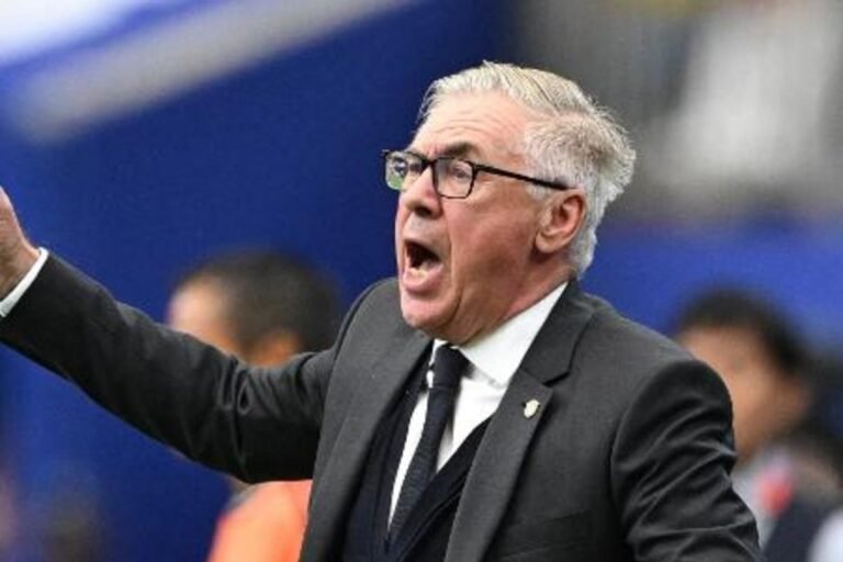 Brazil's head coach Carlo Ancelotti during the second-round match against Japan. Photo: Annegret Hilse/REUTERS