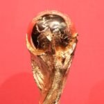 Copa 2026 Jogos da 3ª rodada saiba onde assistir na Globo, SBT, CazéTV