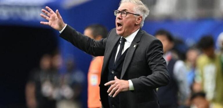 Brazil head coach Carlo Ancelotti during the second-round match against Japan. Photo: Annegret Hilse/REUTERS
