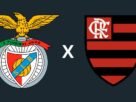 Benfica e Flamengo disputam Troféu do Algarve em amistoso internacional de luxo