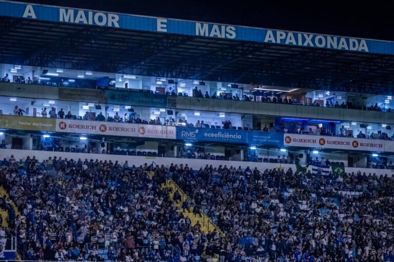 Avaí garante 75% dos pontos na Série B jogando em casa