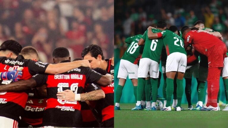 Photo: Disclosure Flamengo/Palmeiras