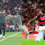 Photos: Disclosure/Vitória and Flamengo