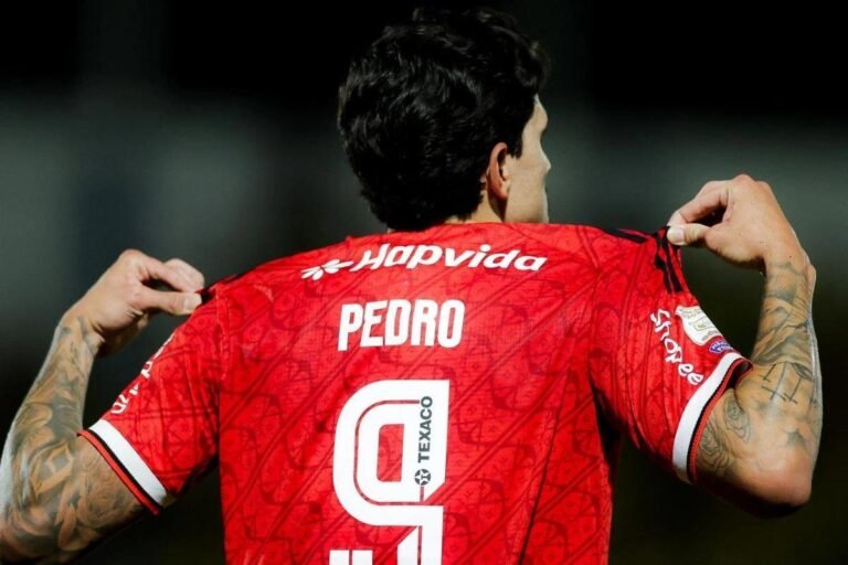 Photo credit: Gilvan de Souza/ Flamengo